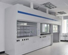 湖北如何能定制出高性價比的實驗室通風柜
